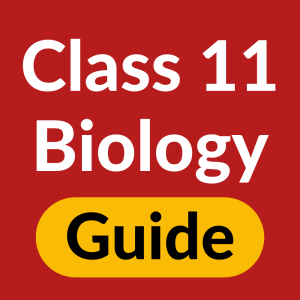 Class 11 Biology Guide App